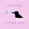 Cartoon People - Cotton Candy Slingshot - Single